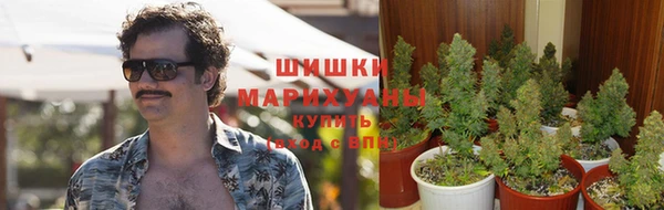 дурь Алзамай
