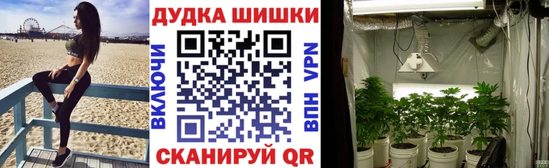 Марихуана сатива  закладки  Беслан 